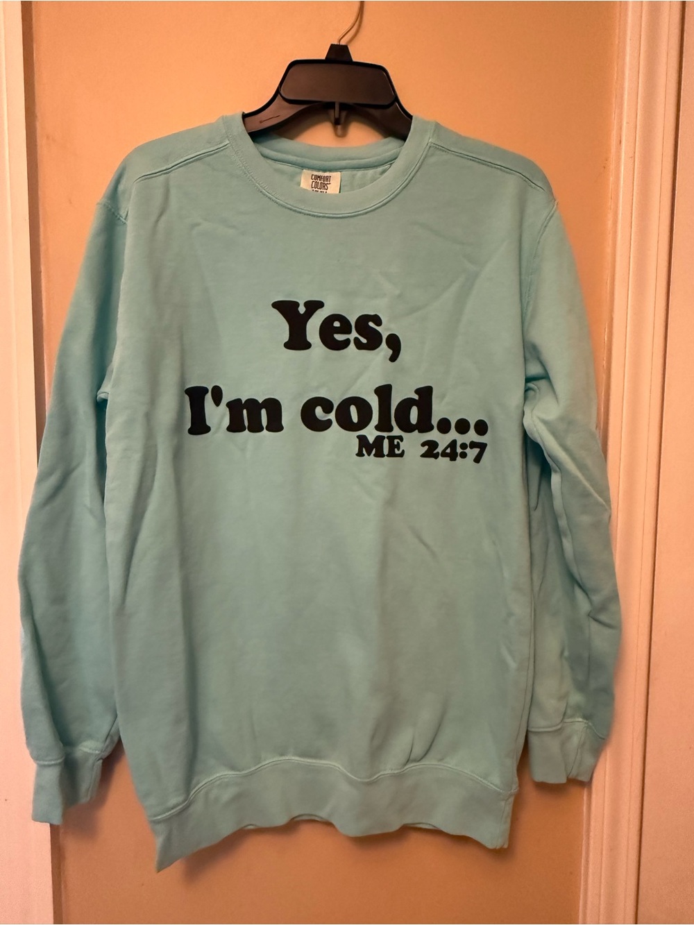 Comfort Colors Light Blue Crewneck Sweatshirt with Black Graphic